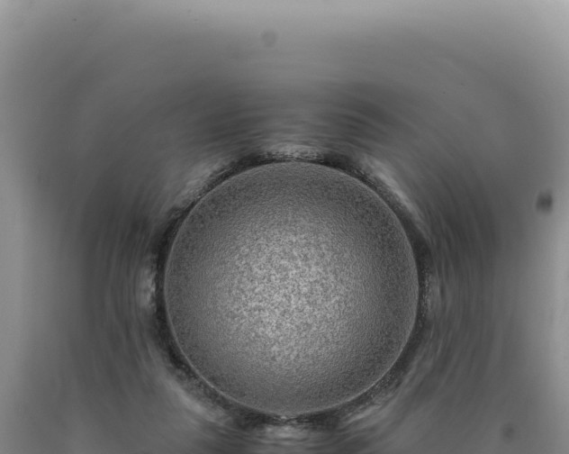 X0000090760259200707271512