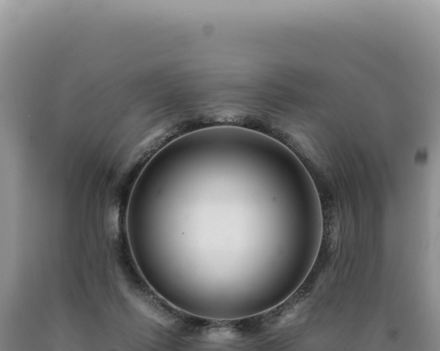 X0000090760262200707271512