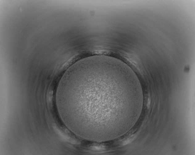 X0000090760263200707271512