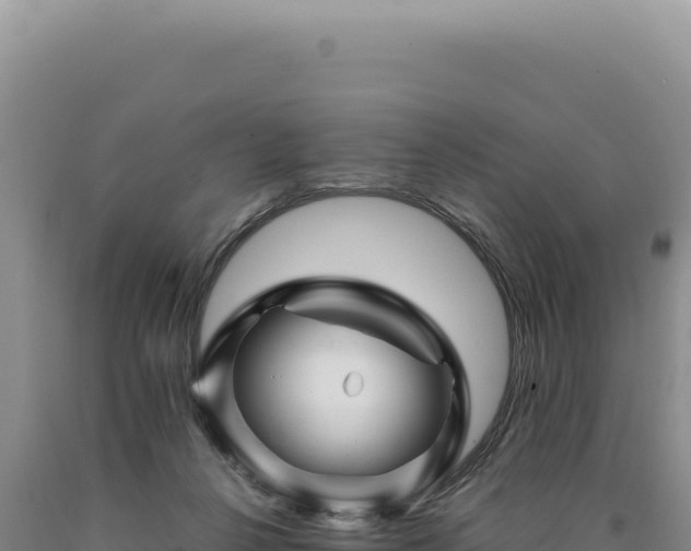 X0000090760264200707271512