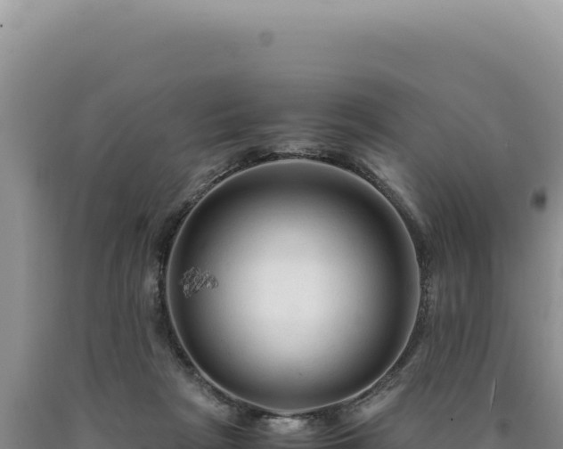 X0000090760265200707271512