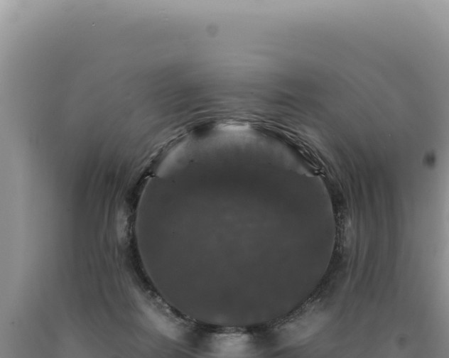 X0000090760266200707271512