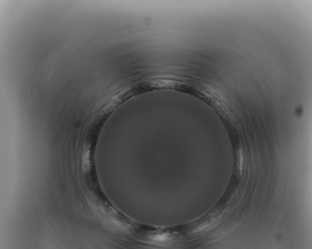 X0000090760267200707271512