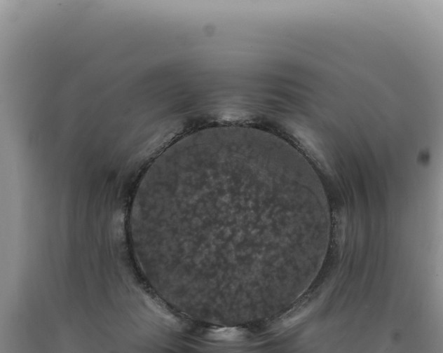 X0000090760269200707271512