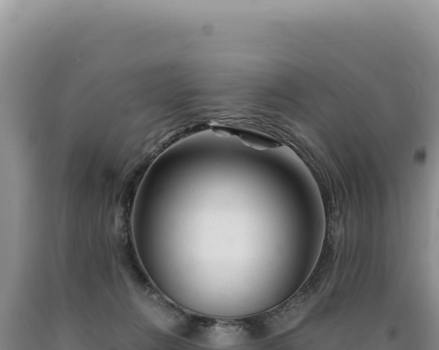 X0000090760270200707271512