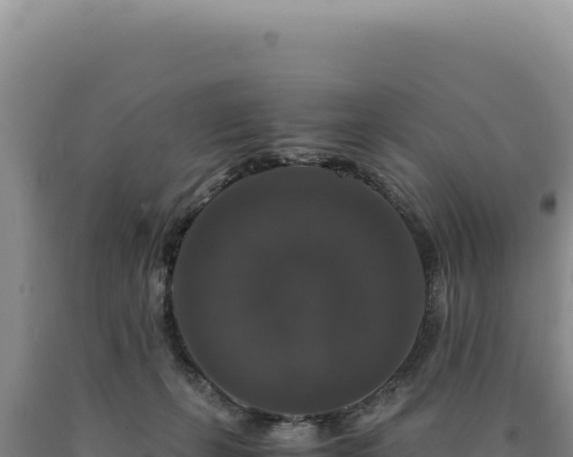 X0000090760271200707271512