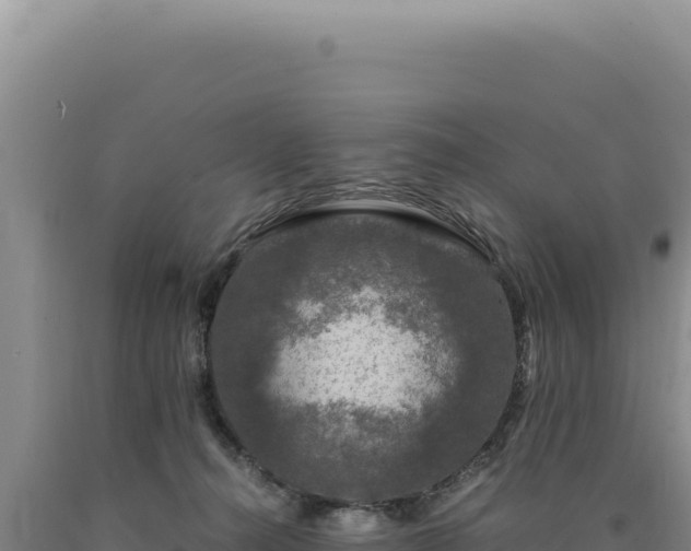 X0000090760272200707271512