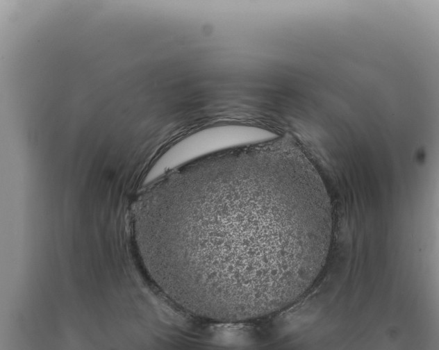 X0000090760273200707271512