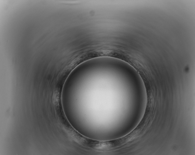 X0000090760274200707271512