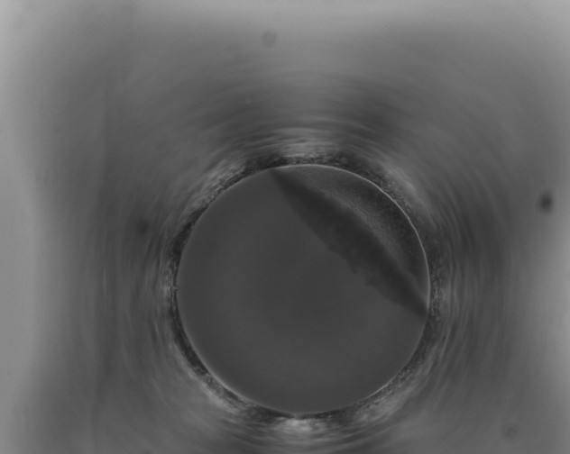 X0000090760277200707271512