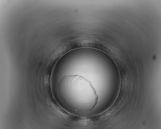 X0000090760278200707271512