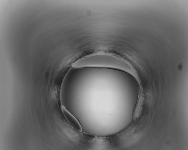 X0000090760280200707271512