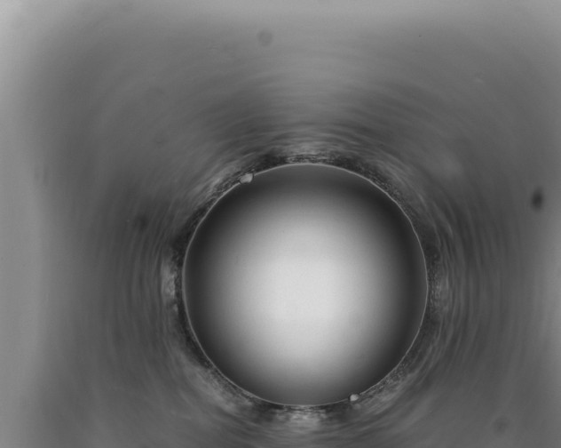 X0000090760282200707271512