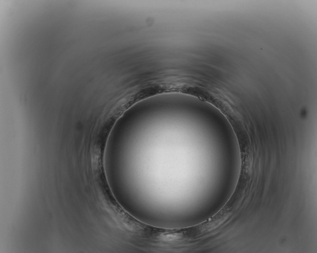 X0000090760283200707271512