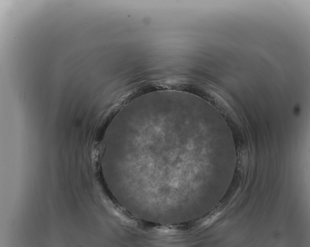 X0000090760284200707271512