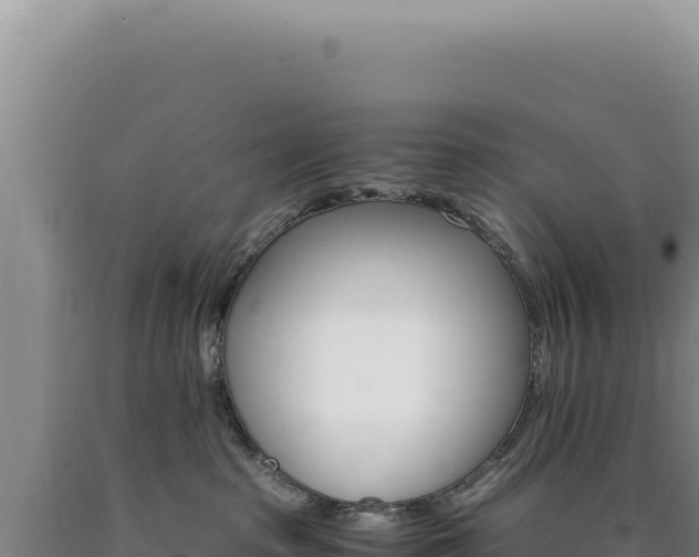 X0000090760285200707271512