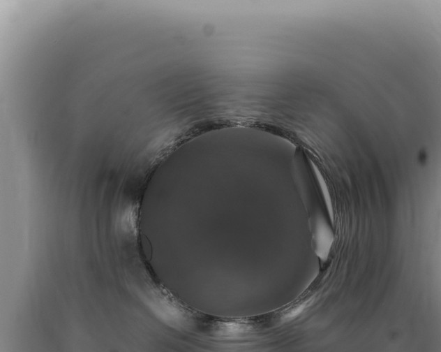 X0000090760286200707271512