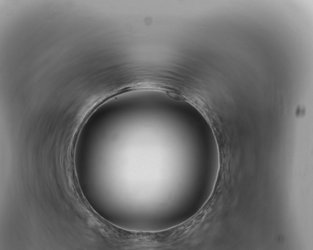 X0000090760289200707271512