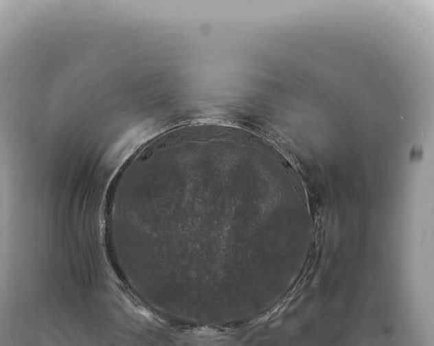 X0000090760290200707271512