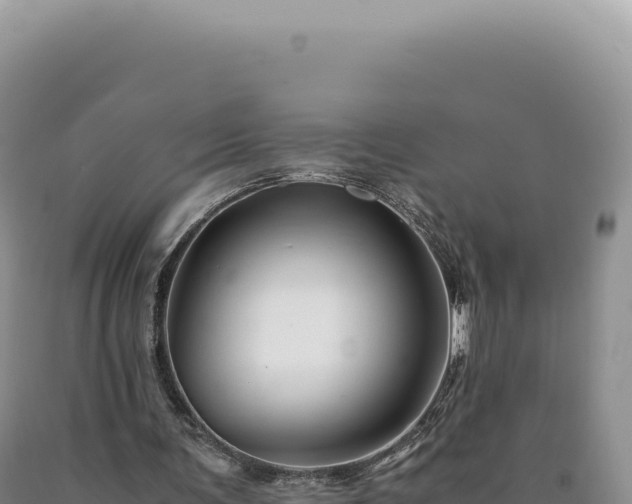 X0000090760291200707271512