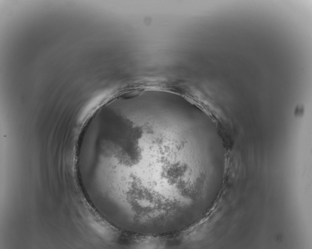 X0000090760293200707271512