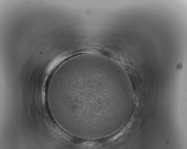 X0000090760294200707271512