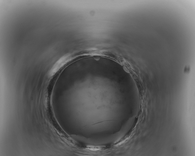 X0000090760295200707271512