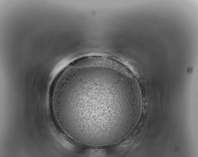 X0000090760296200707271512