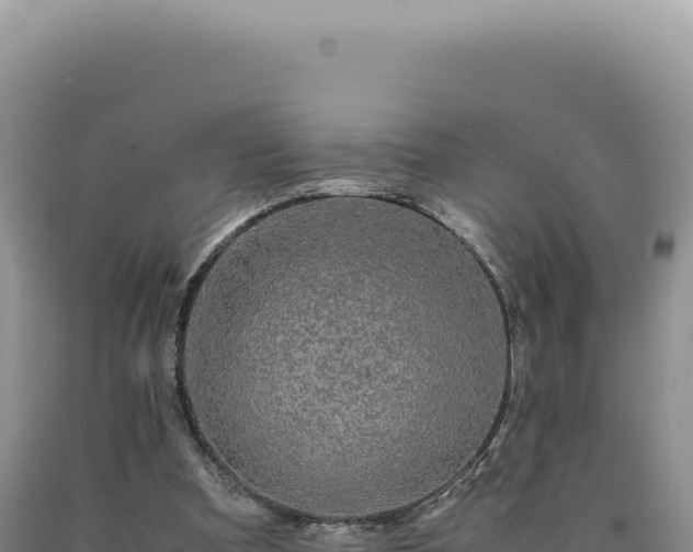 X0000090760297200707271512