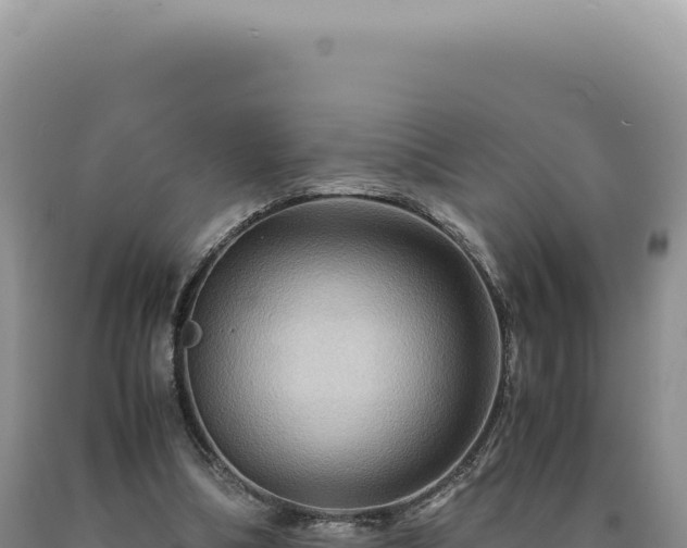 X0000090760298200707271512