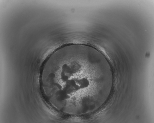 X0000090760299200707271512