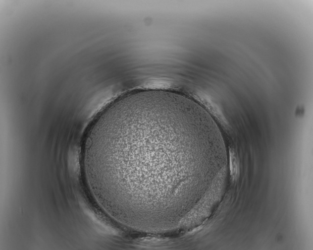 X0000090760300200707271512