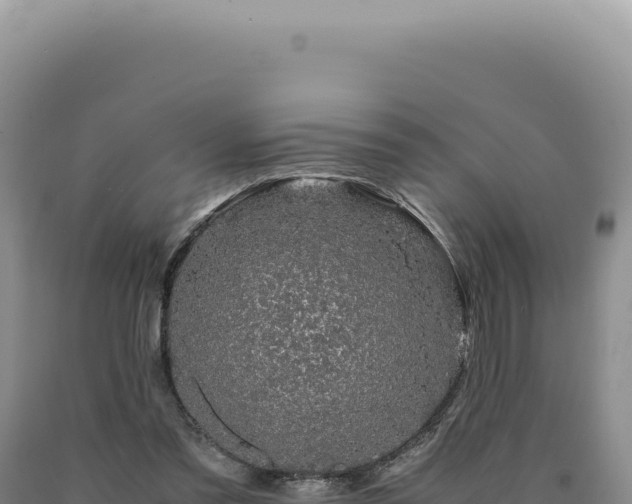 X0000090760301200707271512