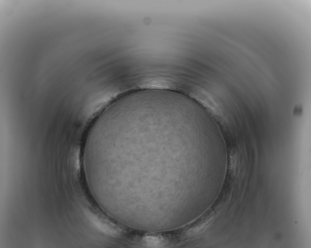 X0000090760302200707271512