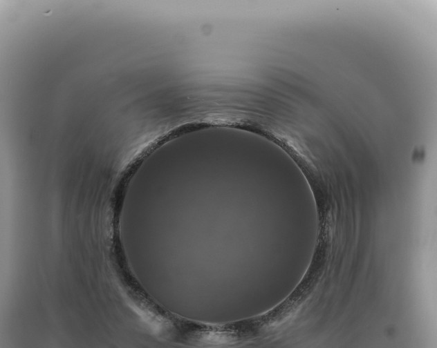 X0000090760303200707271512