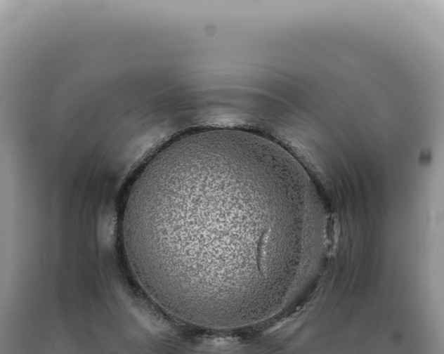 X0000090760304200707271512