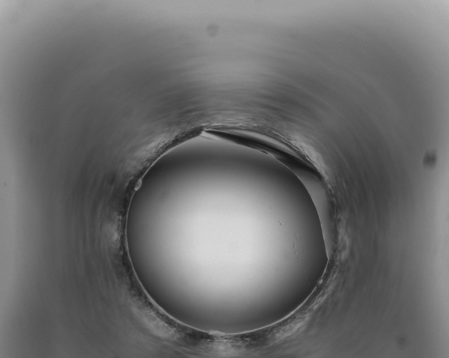 X0000090760305200707271511