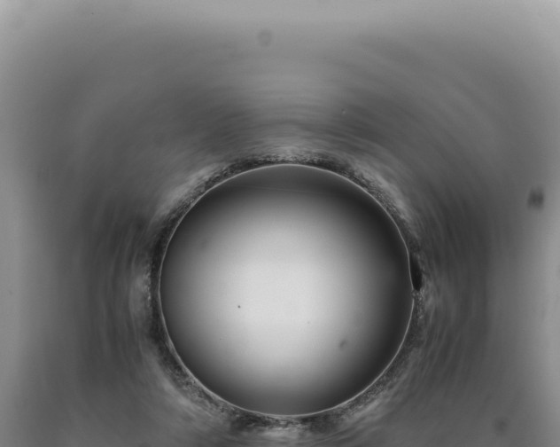 X0000090760306200707271511