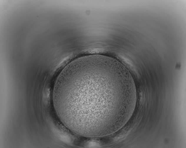 X0000090760308200707271511