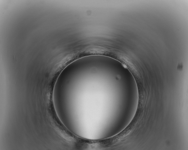 X0000090760309200707271511