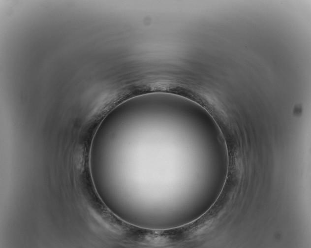 X0000090760311200707271511