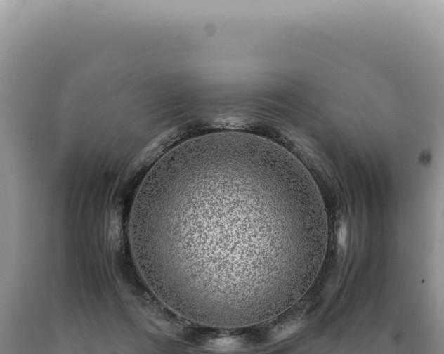 X0000090760312200707271511