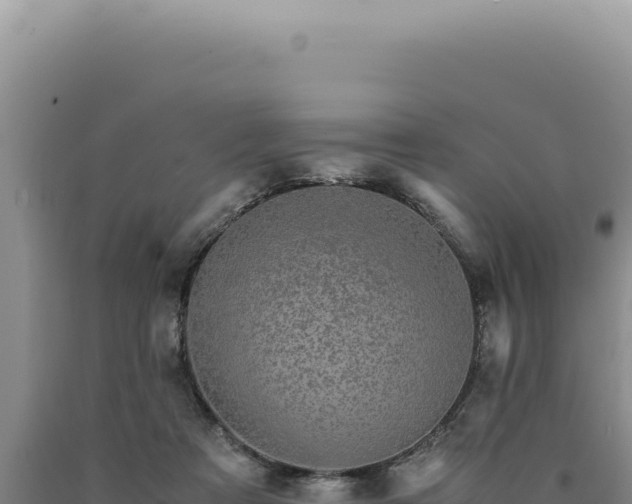 X0000090760313200707271511