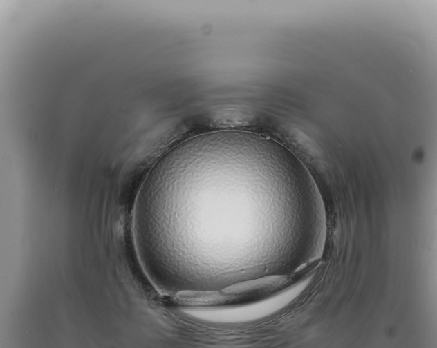 X0000090760315200707271511