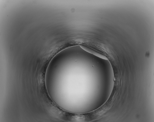 X0000090760317200707271511