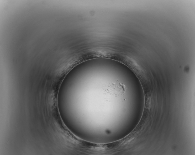 X0000090760318200707271511