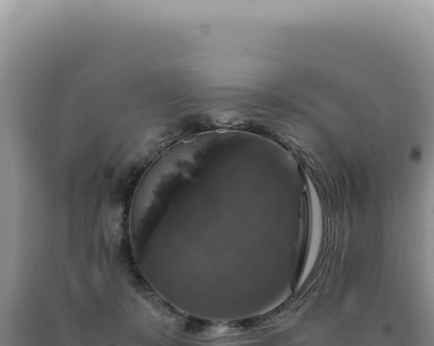 X0000090760319200707271511