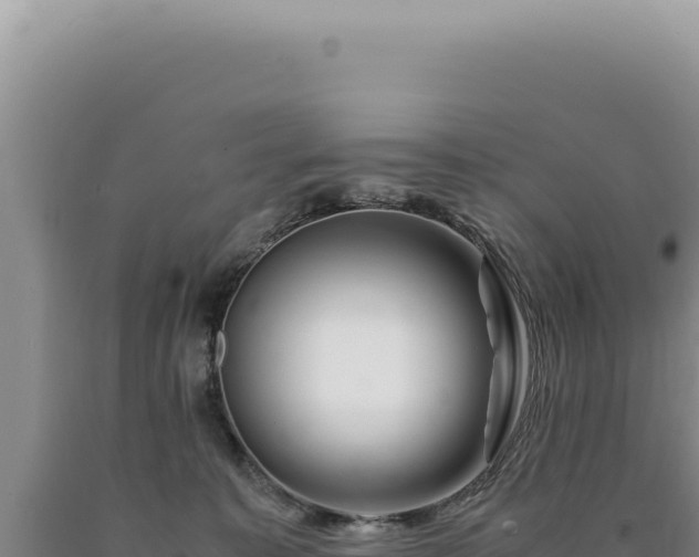 X0000090760323200707271511