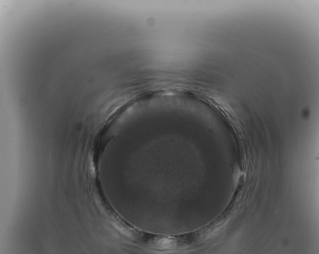 X0000090760325200707271511