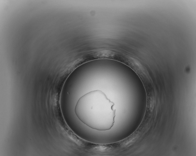 X0000090760326200707271511